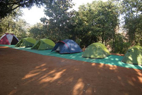 Camping & trekking
