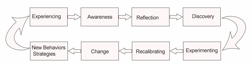 Leadership development